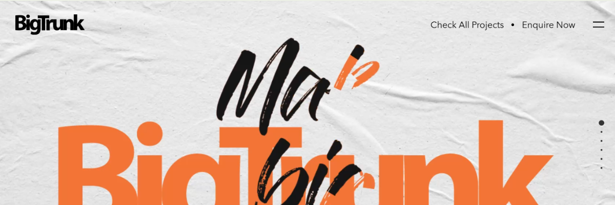 Influencer Marketing for Indian Brands
